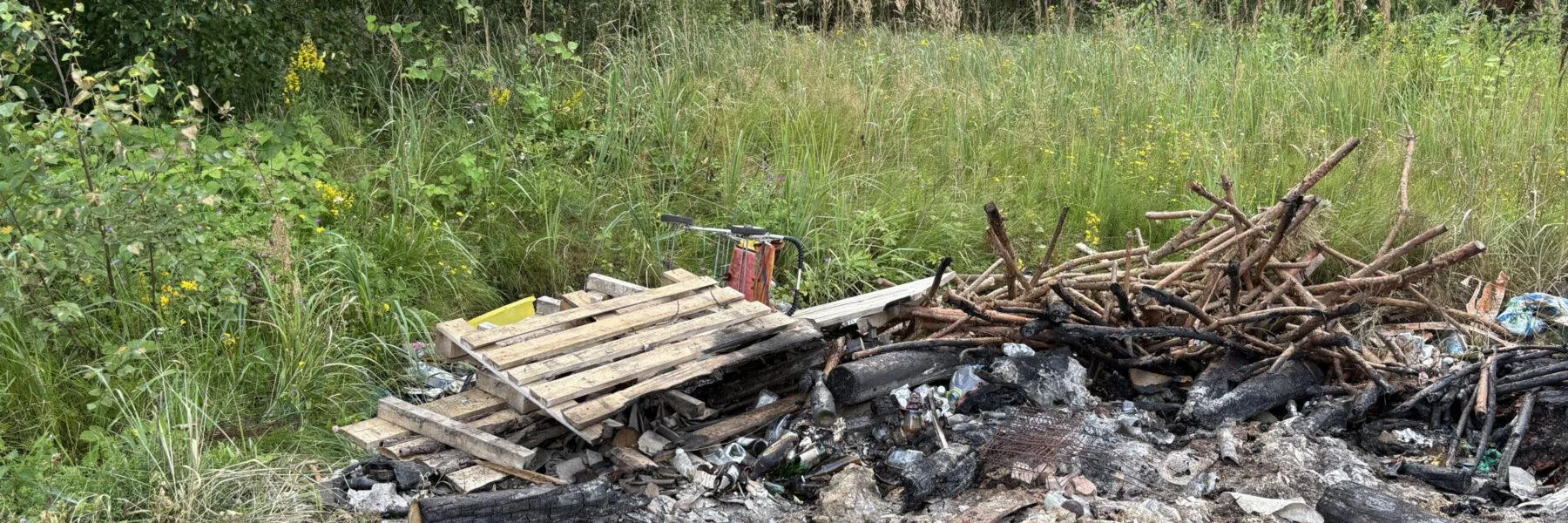 В&nbsp;Псковской области нашли новые несанкционированные свалки