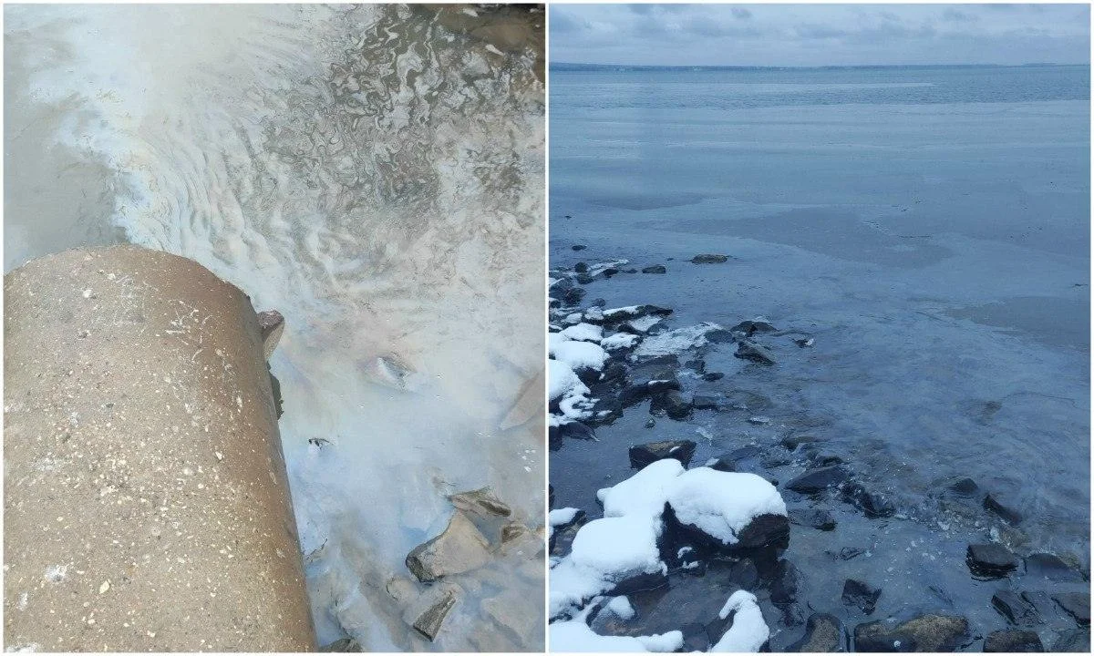 В Петрозаводске в Онежское озеро стекает подозрительная жидкость, похожая на нефтепродукты