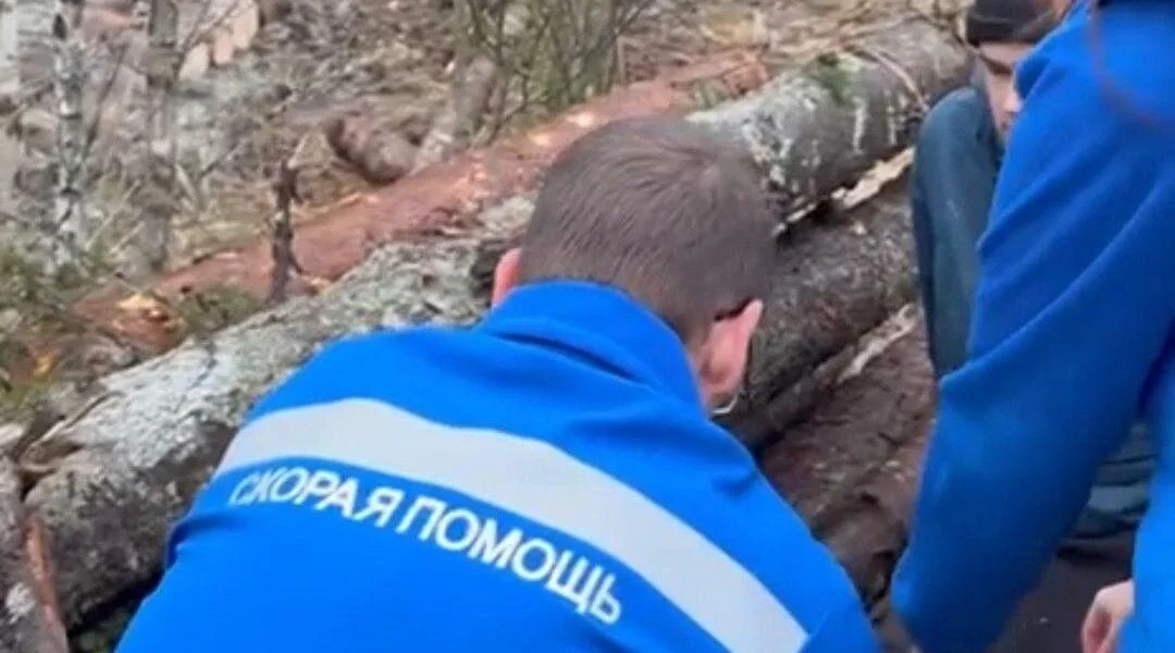 В&nbsp;Ленобласти активиста придавили бревном во&nbsp;время вырубки леса под&nbsp;мусорный завод