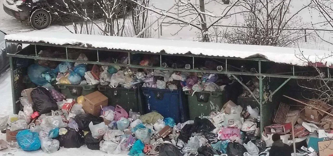 В&nbsp;Новгородской области вновь возникли проблемы с&nbsp;вывозом мусора